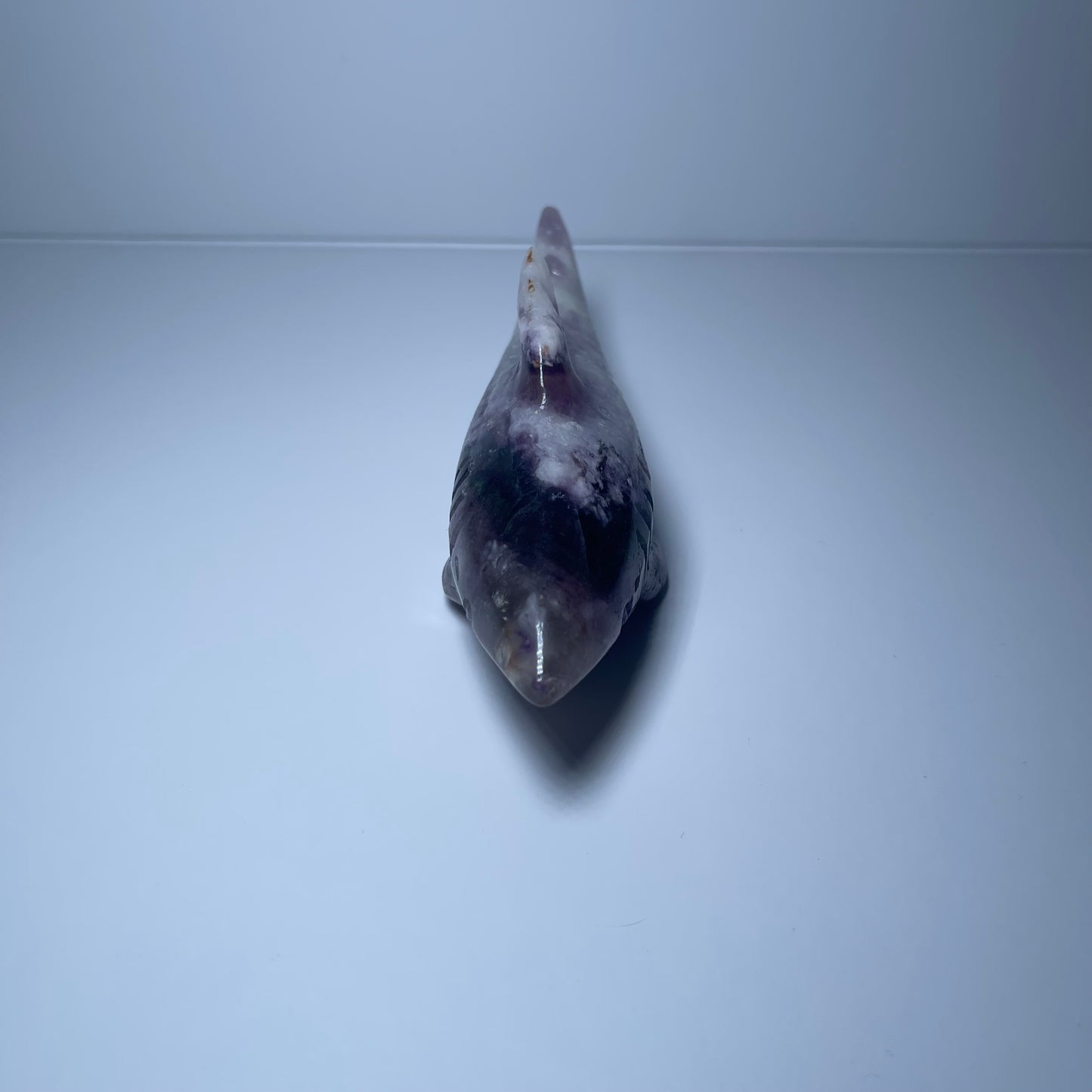 Fluorite Shark