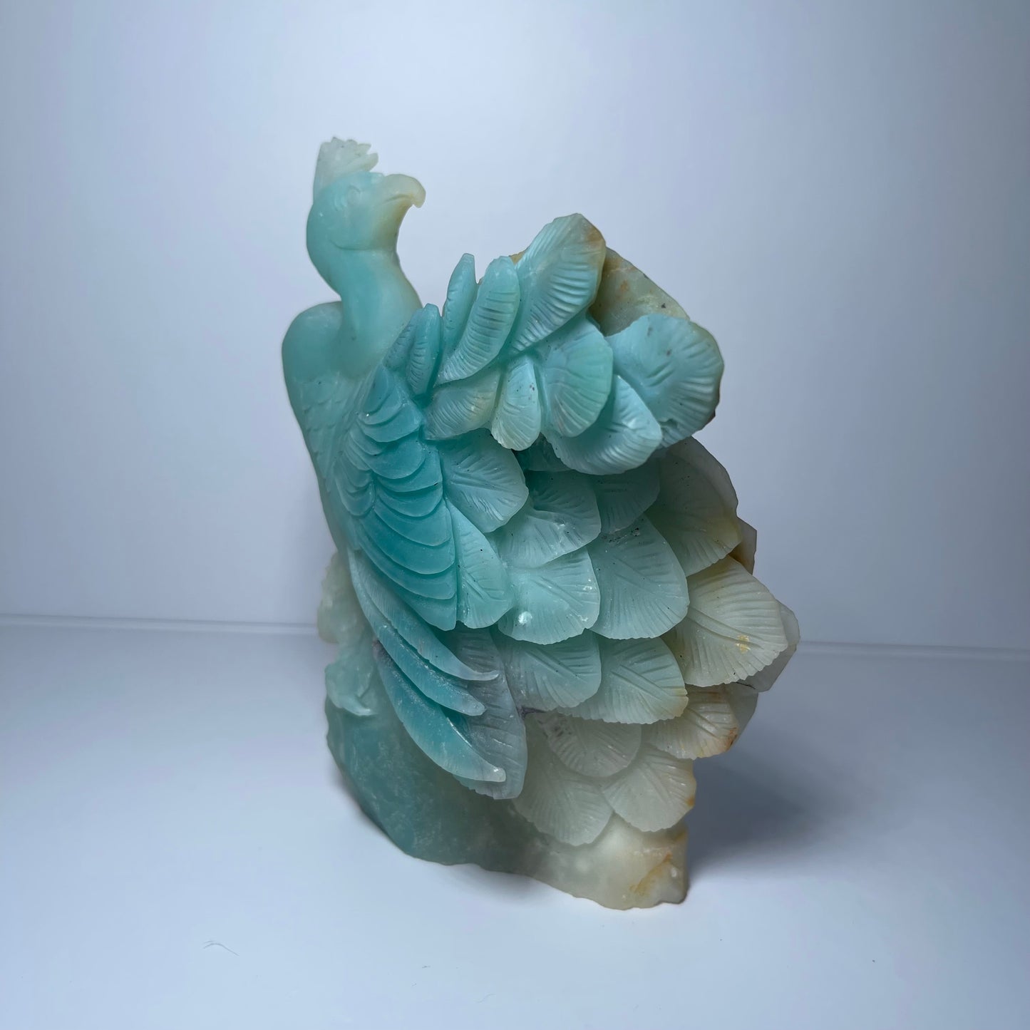 Caribbean Calcite Peacock Carving