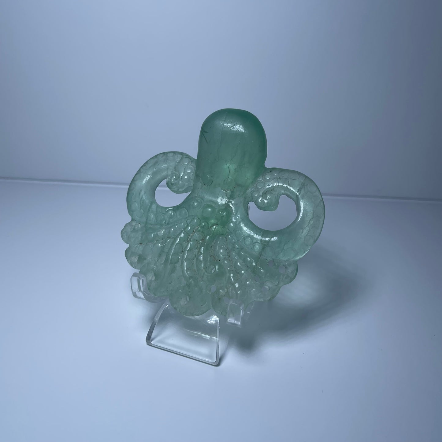 Fluorite Octopus