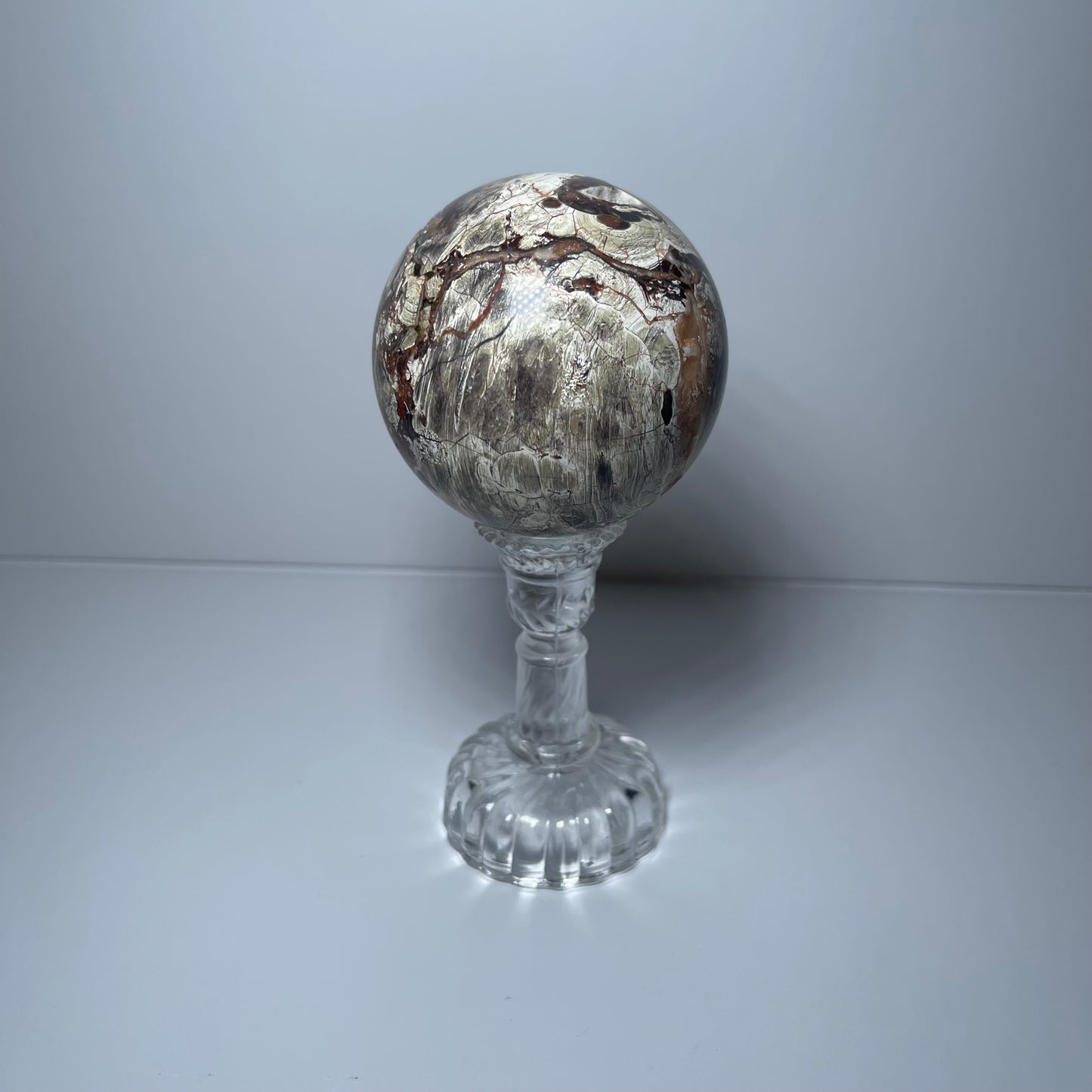 Petrified Wood Sphere