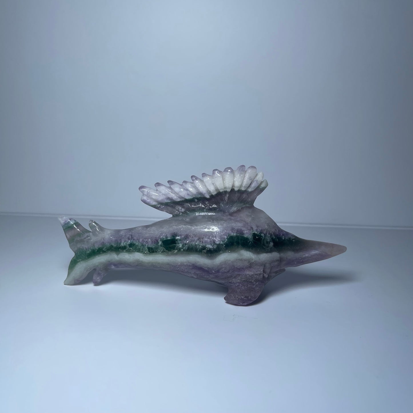 Fluorite Sailfish