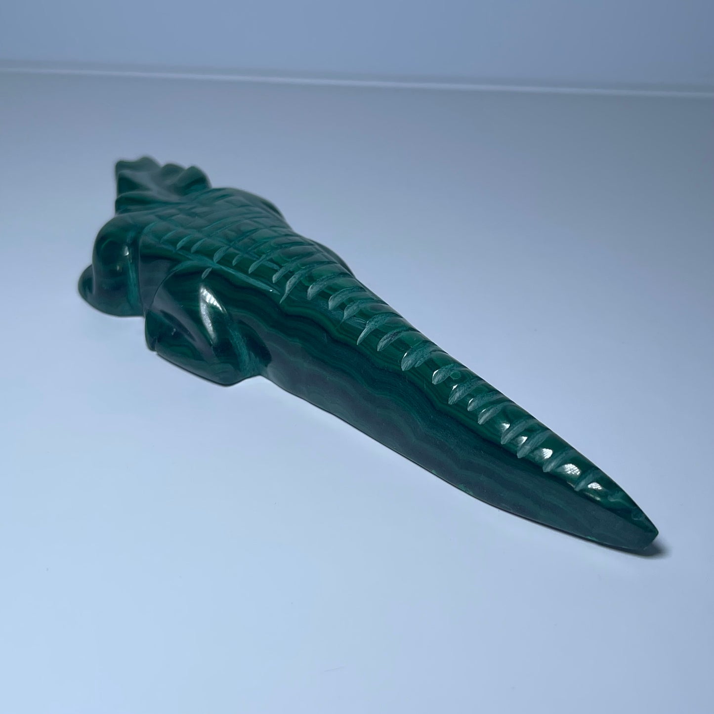 Malachite Crocodile