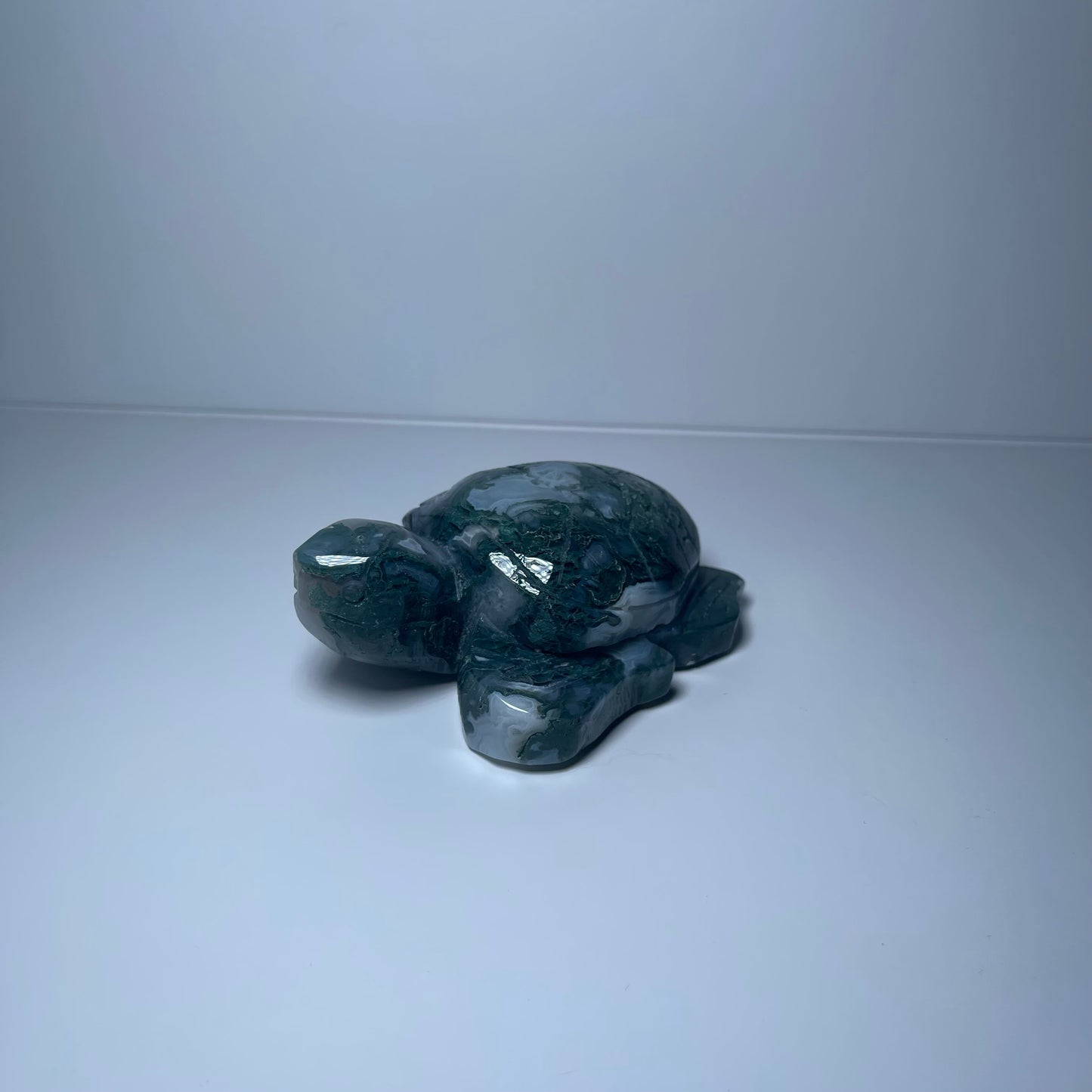 Moss Agate Turtle