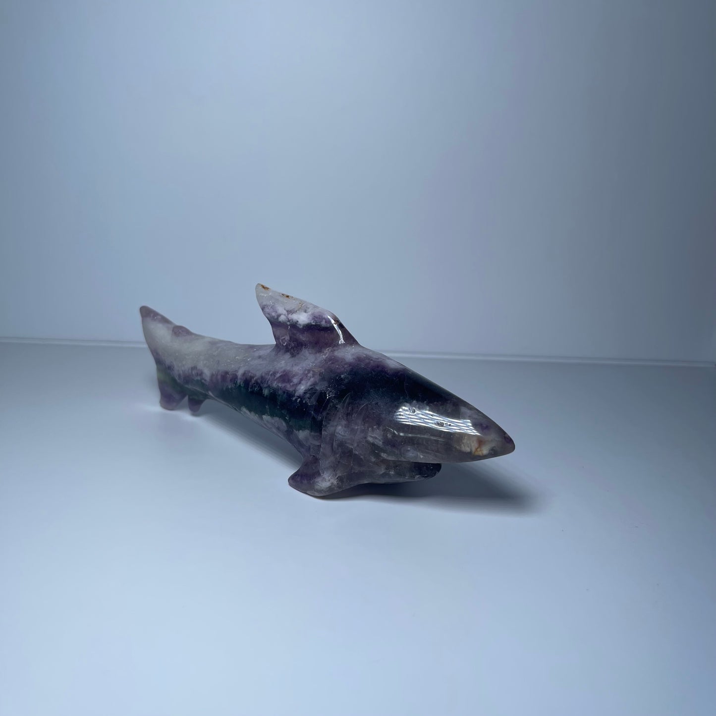 Fluorite Shark
