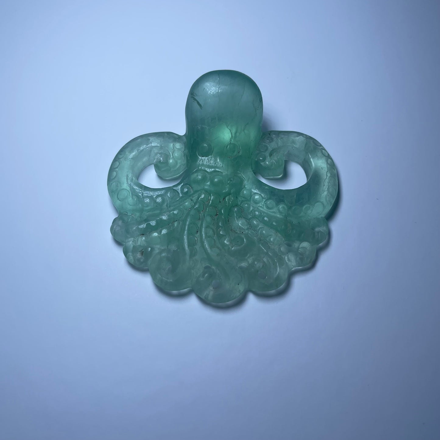 Fluorite Octopus