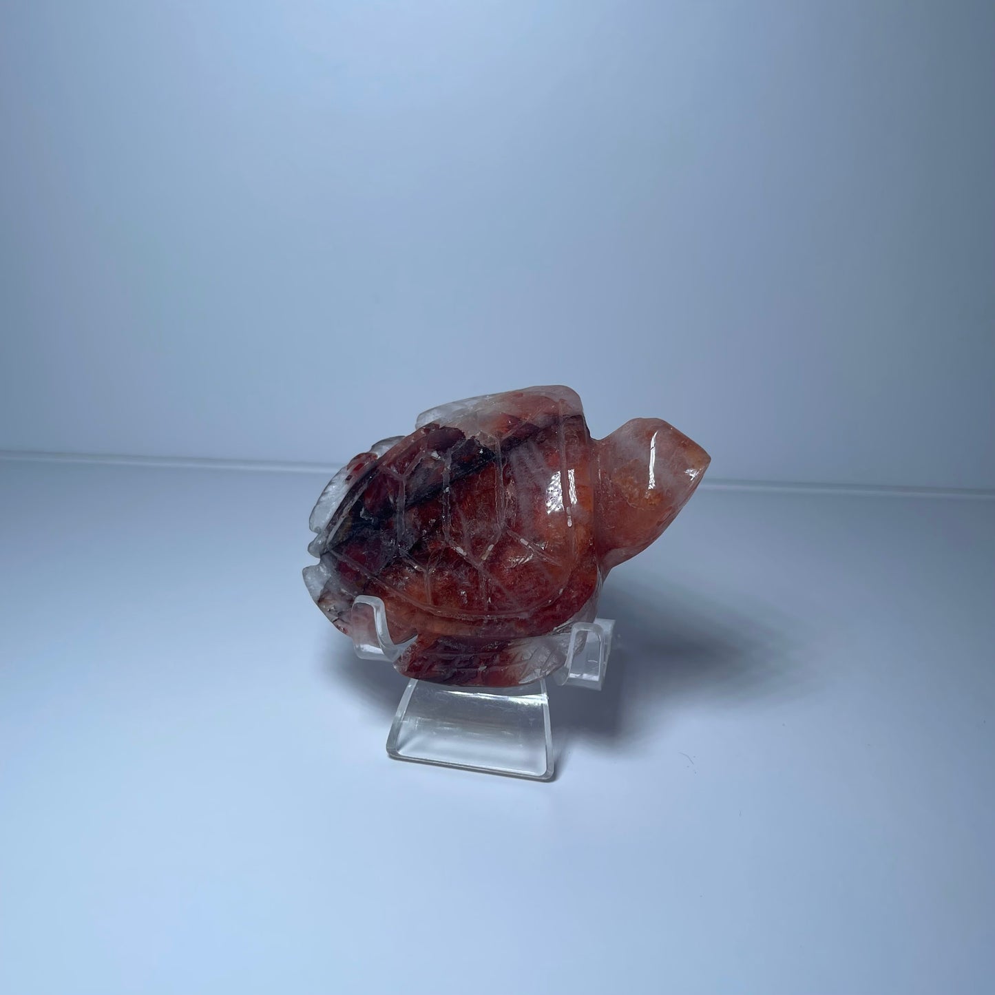 Fire Quartz Turtle