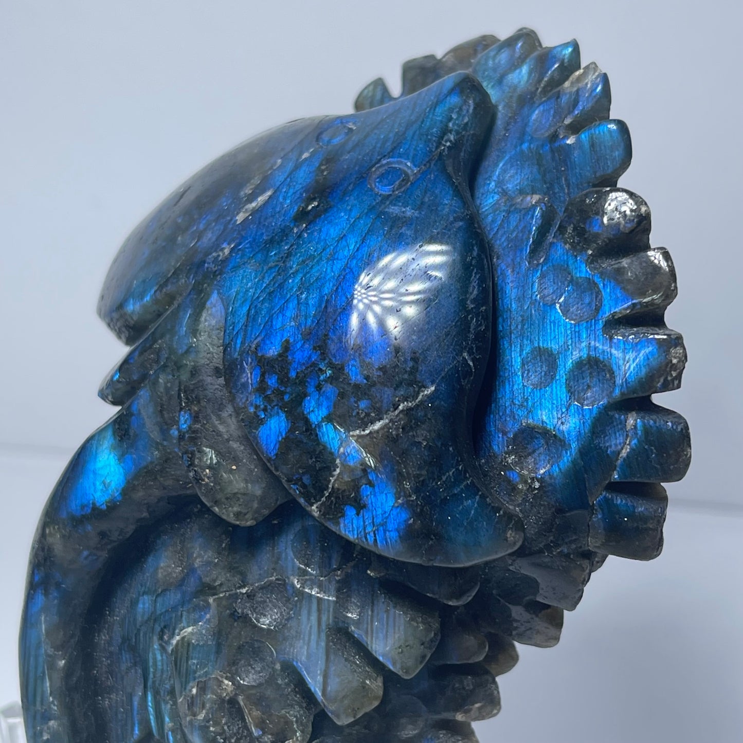 Labradorite Stingray