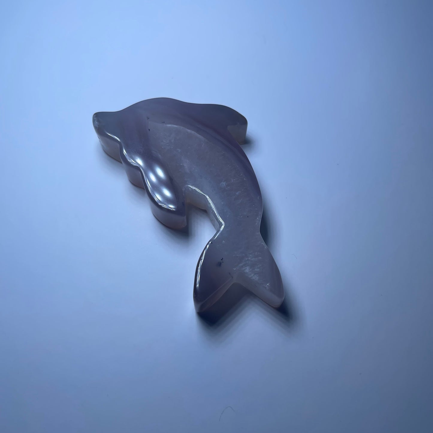 Agate Dolphin