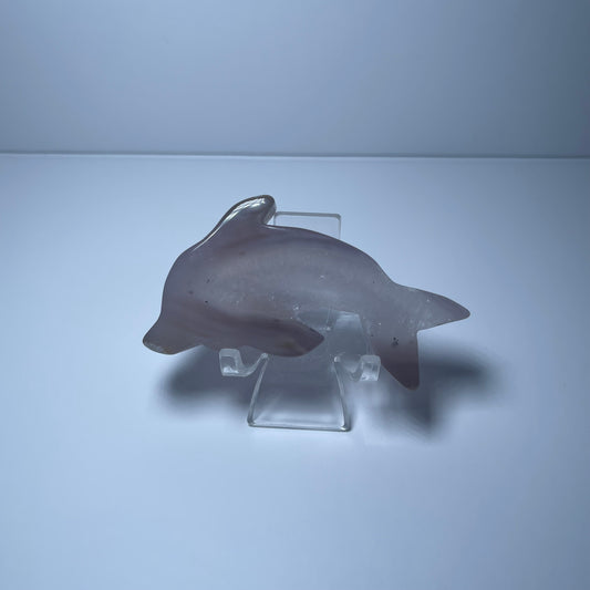 Agate Dolphin