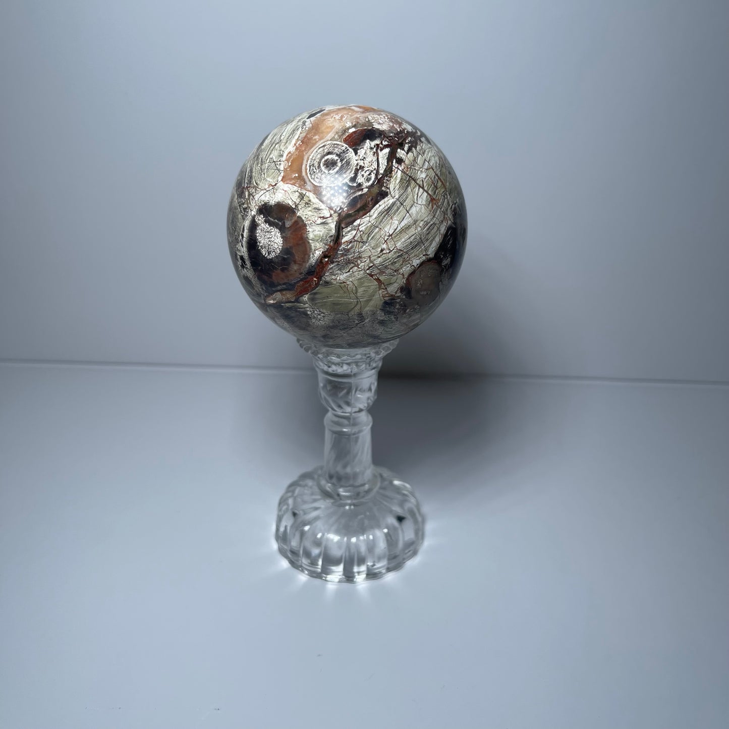 Petrified Wood Sphere