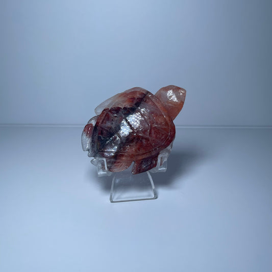 Fire Quartz Turtle