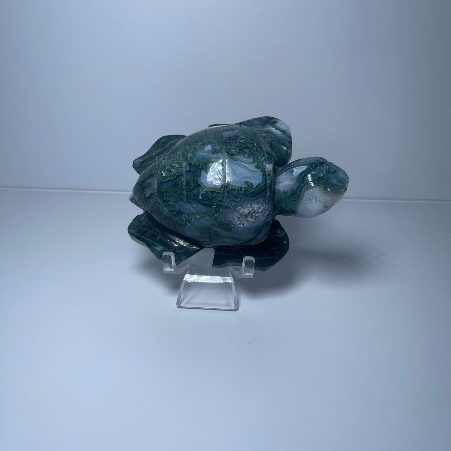 Moss Agate Turtle