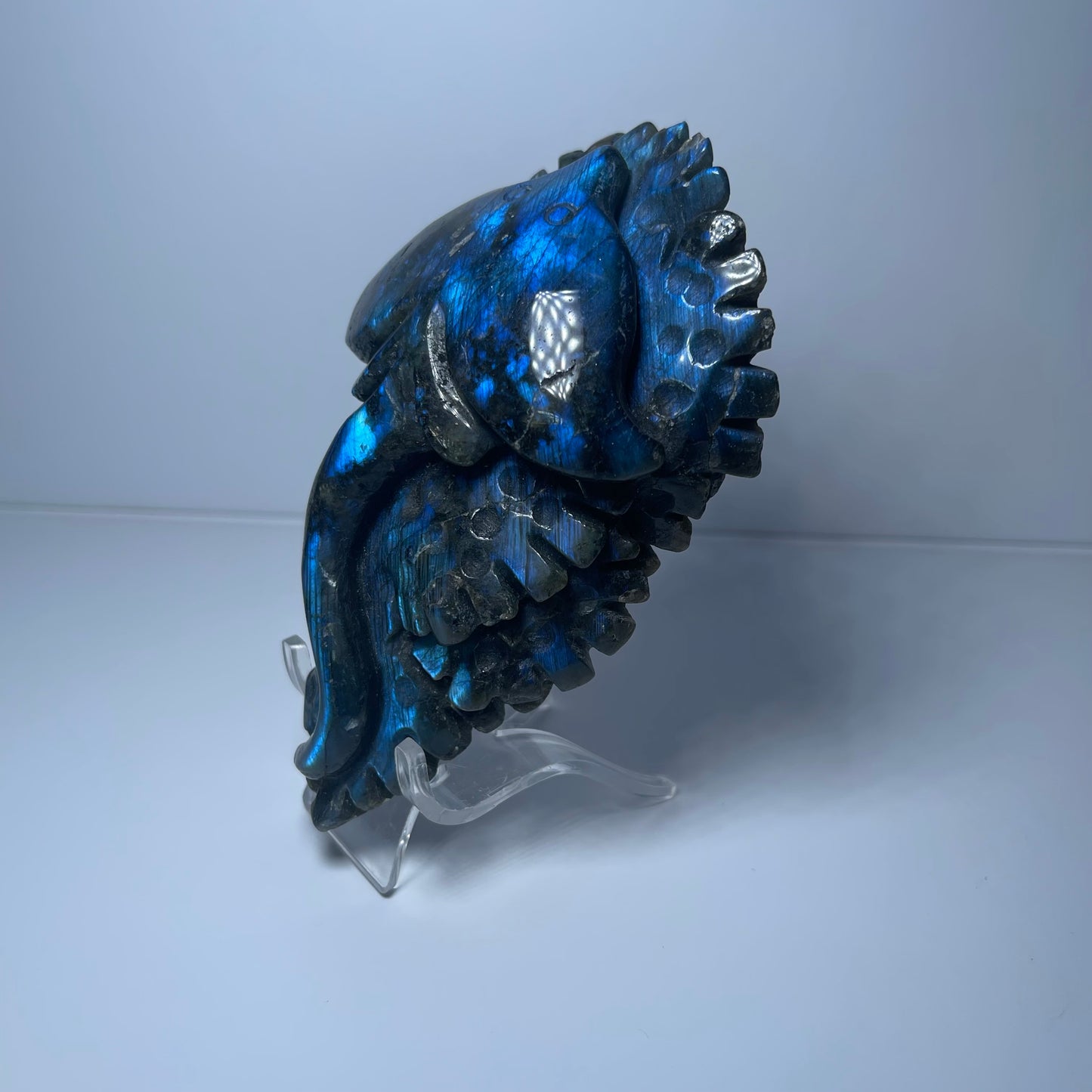 Labradorite Stingray