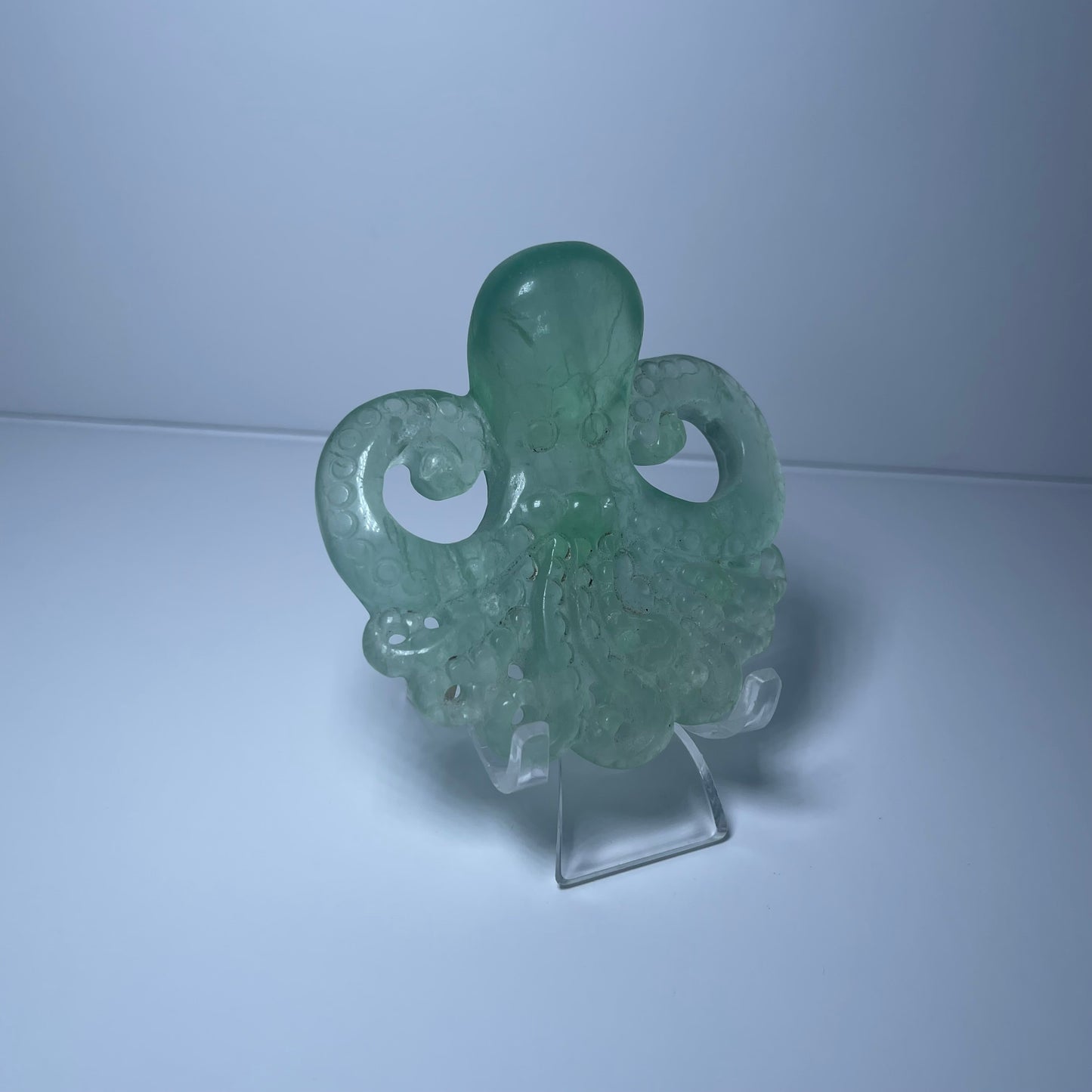Fluorite Octopus