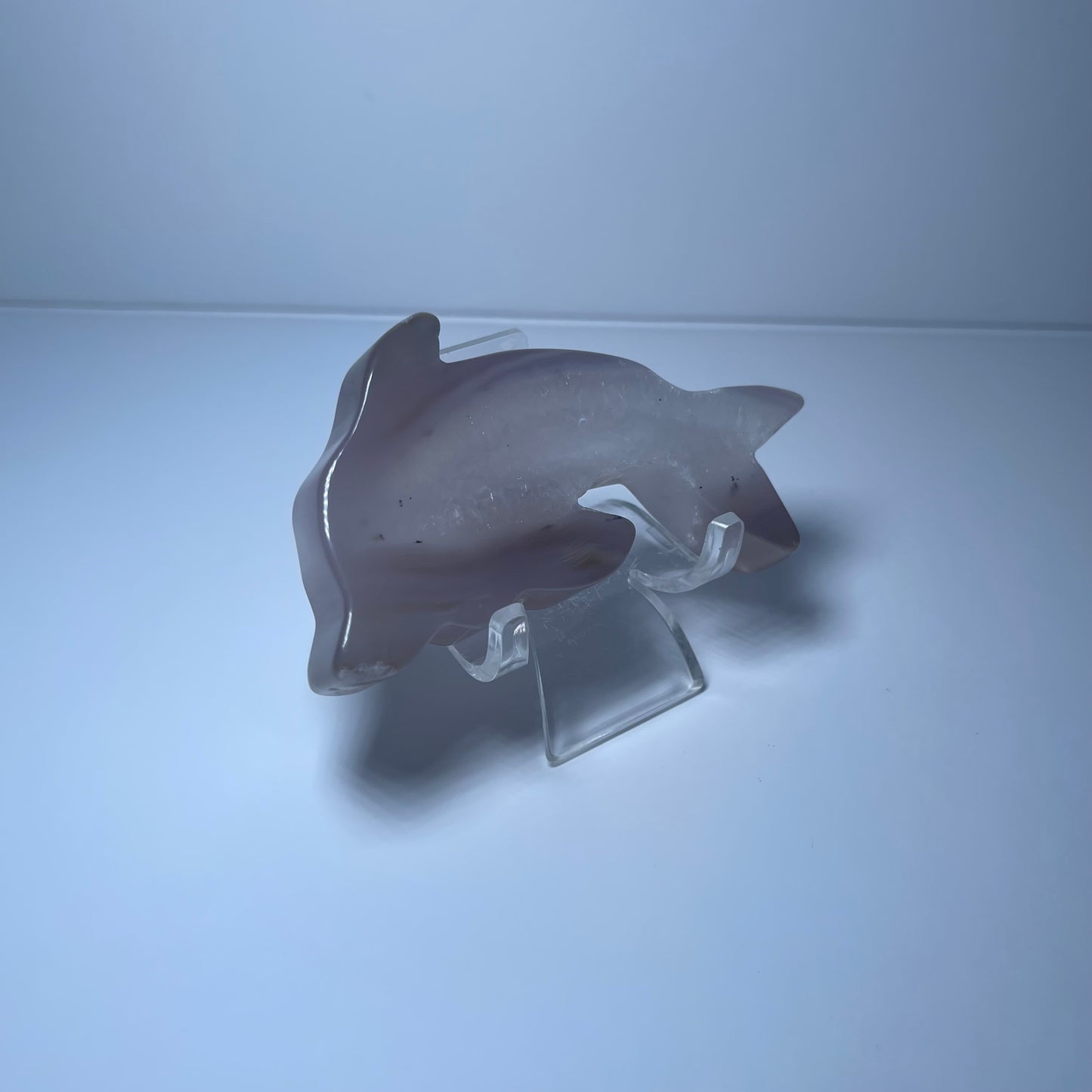 Agate Dolphin