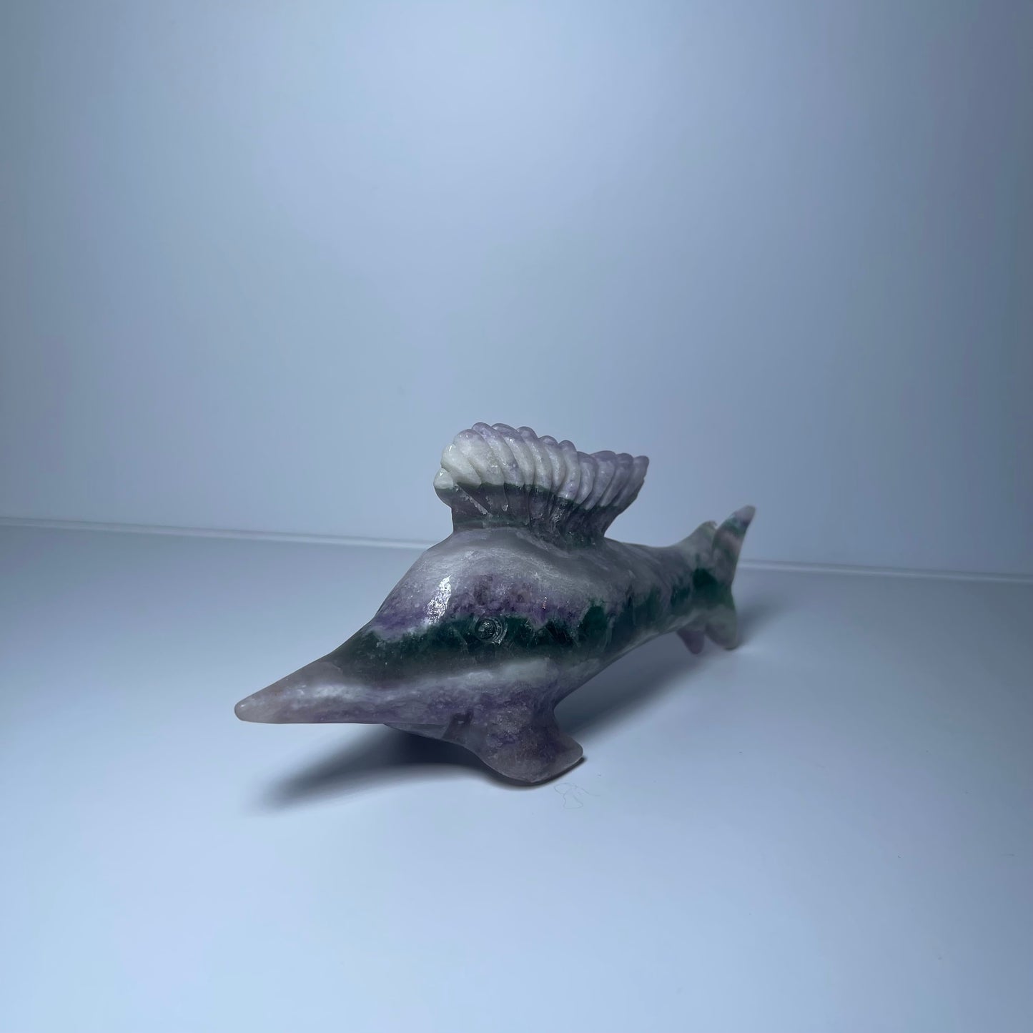 Fluorite Sailfish