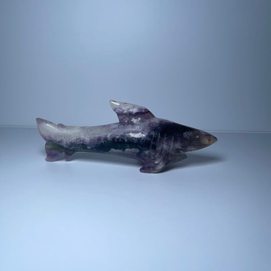 Fluorite Shark