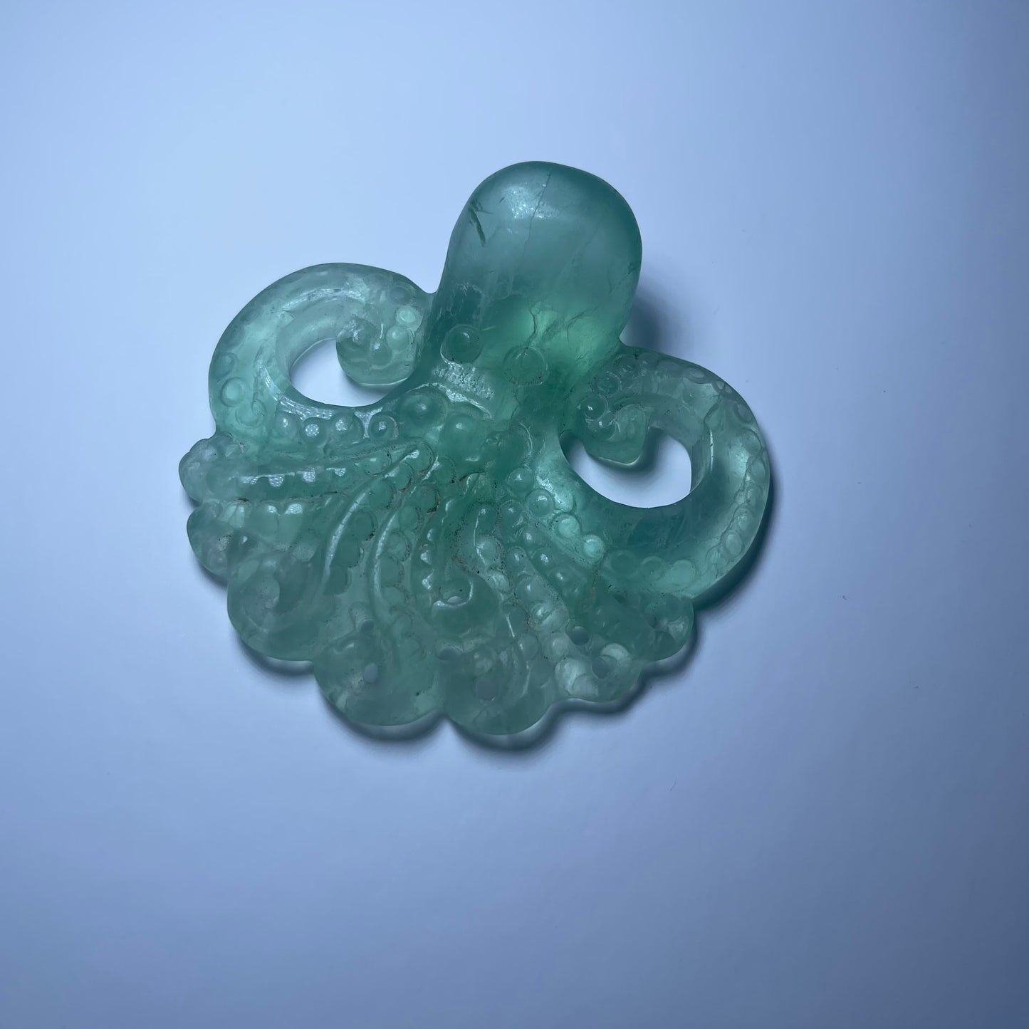 Fluorite Octopus